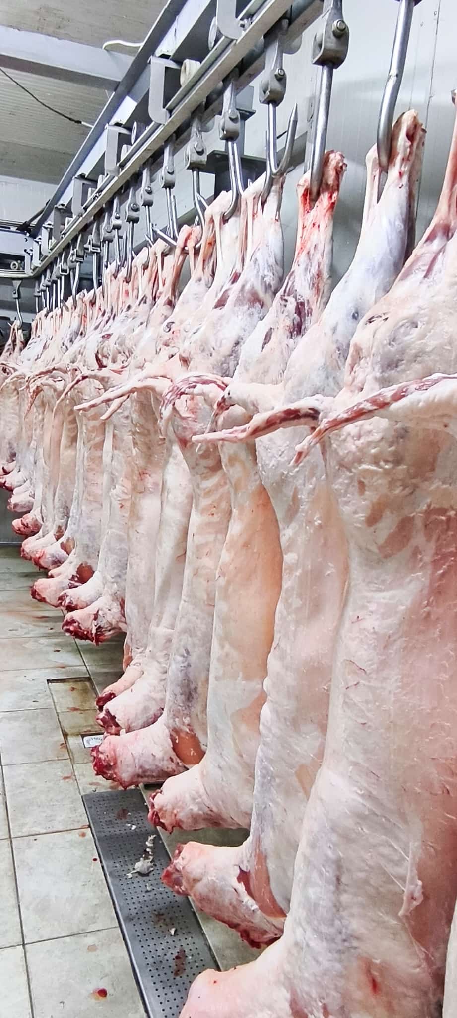 WhatsApp Image 2025-08-01 at 20.39.44 (1)