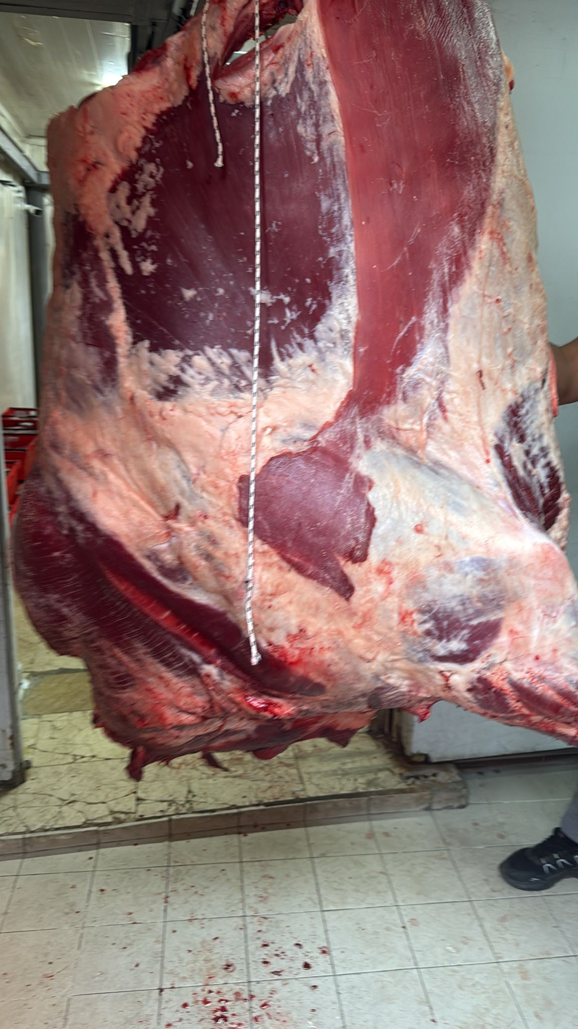 WhatsApp Image 2025-08-01 at 20.39.44 (2)