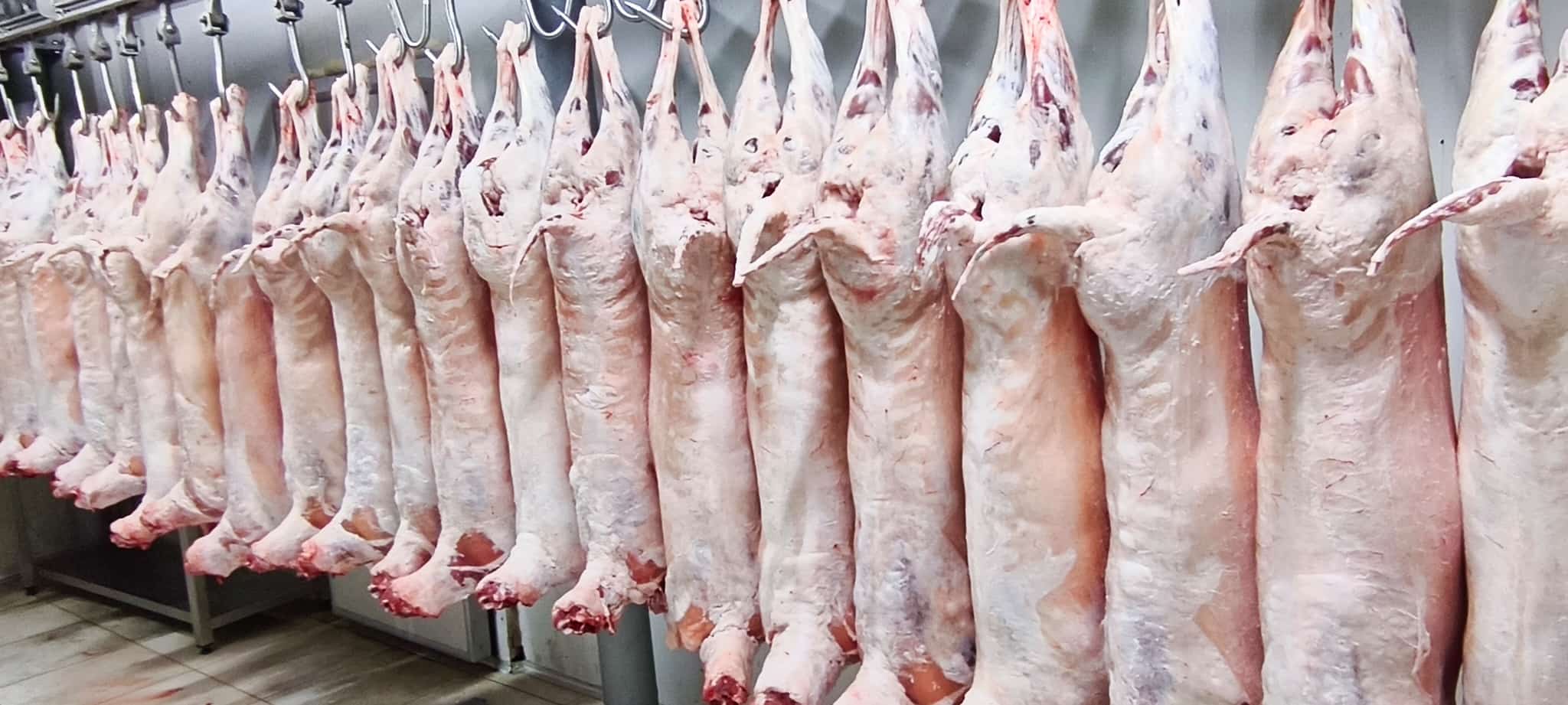 WhatsApp Image 2025-08-01 at 20.39.44